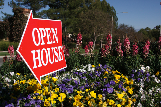 Open House Sign - Custom Shape